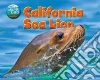 California Sea Lion California Sea Lion
