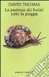 La pazienza dei bufali sotto la pioggia La pazienza dei bufali sotto la pioggia