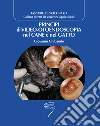 Principi di video-otoendoscopia nel cane e nel gatto Principi di video-otoendoscopia nel cane e nel gatto