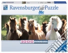 Puzzle 1000 pz - cavalli Puzzle 1000 pz - cavalli